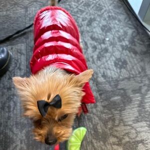 Red Dog Puffer Jacket Coat | Warm Winter Pet Vest | XL Puppy Clothes Cozy